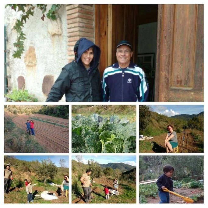 Cottage Eco-Friendly Barcelona Country Side Ла-Ґарріґа Екстер'єр фото