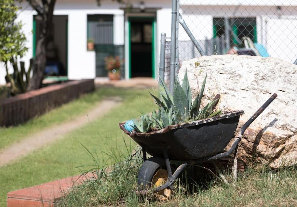 Cottage Eco-Friendly Barcelona Country Side Ла-Ґарріґа Екстер'єр фото