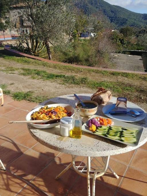 Cottage Eco-Friendly Barcelona Country Side Ла-Ґарріґа Екстер'єр фото