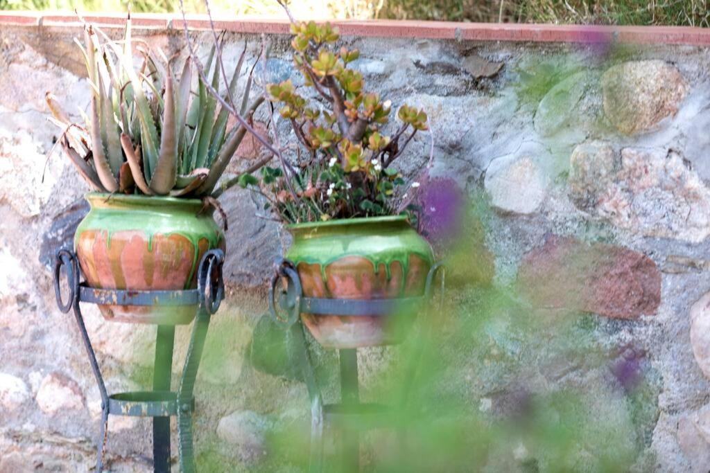 Cottage Eco-Friendly Barcelona Country Side Ла-Ґарріґа Екстер'єр фото
