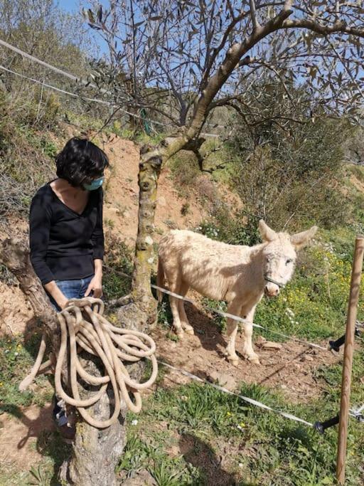 Cottage Eco-Friendly Barcelona Country Side Ла-Ґарріґа Екстер'єр фото