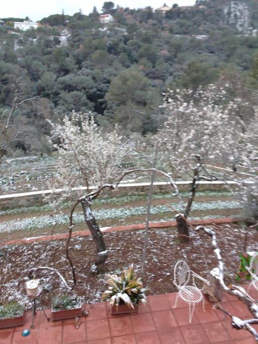 Cottage Eco-Friendly Barcelona Country Side Ла-Ґарріґа Екстер'єр фото