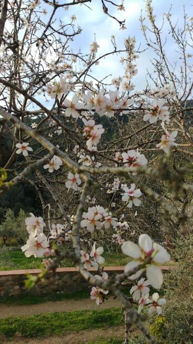 Cottage Eco-Friendly Barcelona Country Side Ла-Ґарріґа Екстер'єр фото