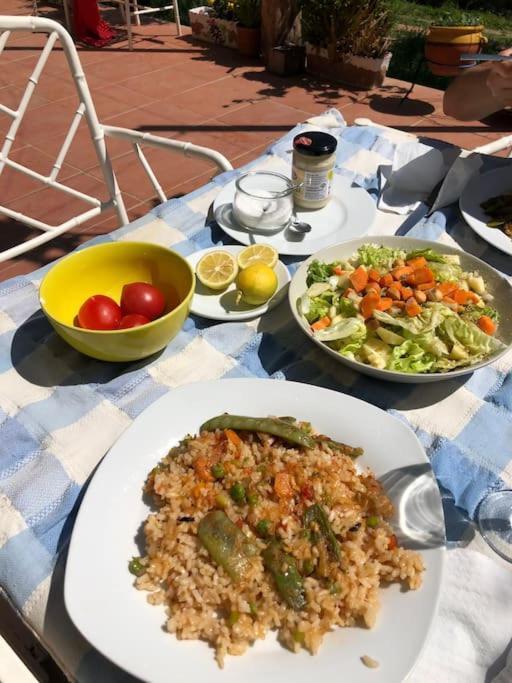 Cottage Eco-Friendly Barcelona Country Side Ла-Ґарріґа Екстер'єр фото
